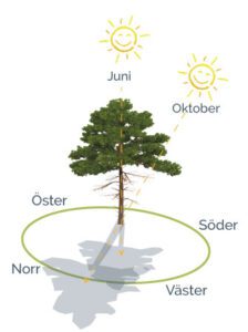 Solstudie - Sol i olika väderstreck under juni och oktober